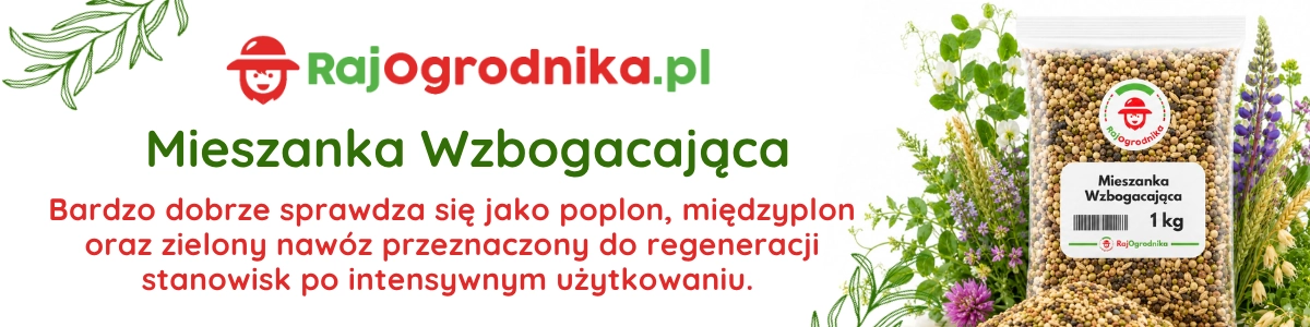Baner mieszanka wzbogacająca nasiona na poplon sklep rajogrodnika